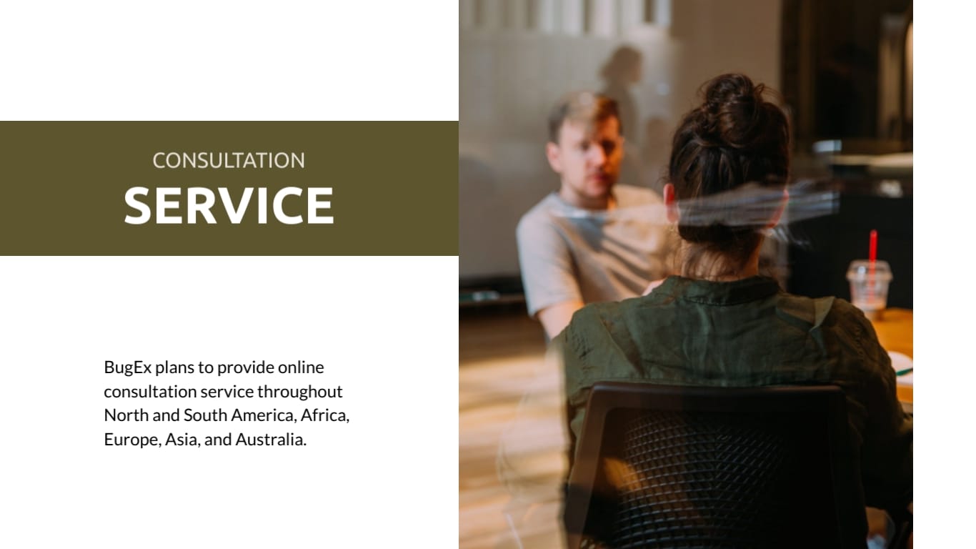 Pest Control Proposal Presentation Template | Visme