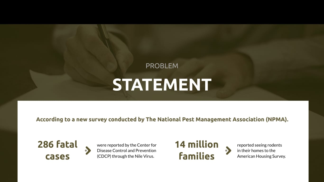 Pest Control Proposal Presentation Template Visme