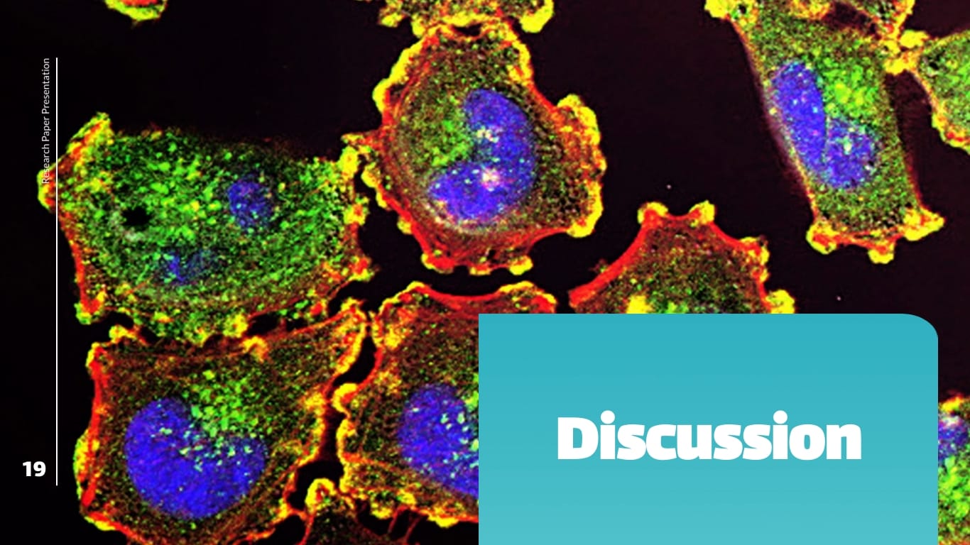 Research Paper Presentation Template - Slide 19 Research Paper Presentation Template - Slide 19