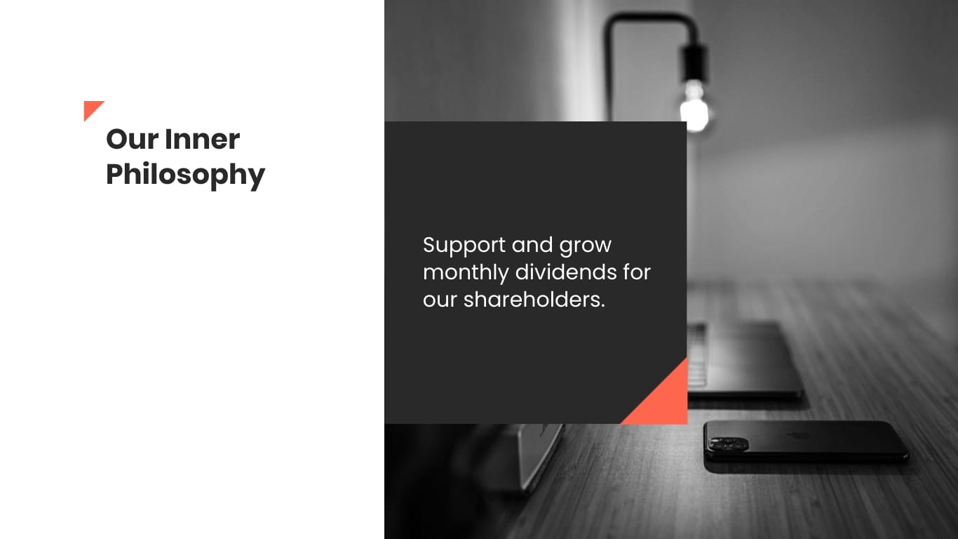 Shareholder Presentation Template - Slide 13 Shareholder Presentation Template - Slide 13